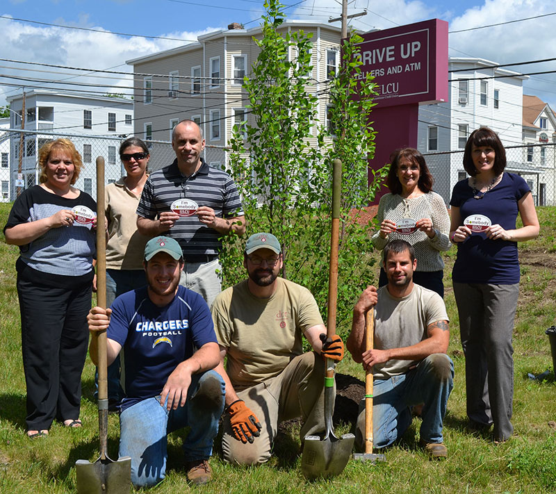 TreePlanting2016a